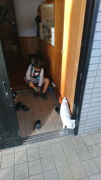 10���E�}�}�̐V�N���o�C�g�I